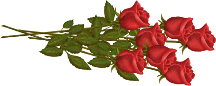 des belles fleurs